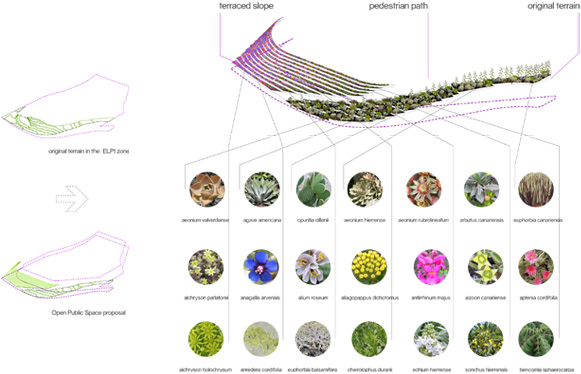 Europan 10