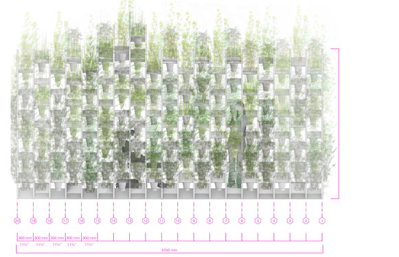 Sukkah City