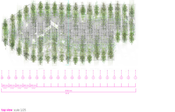 Sukkah City