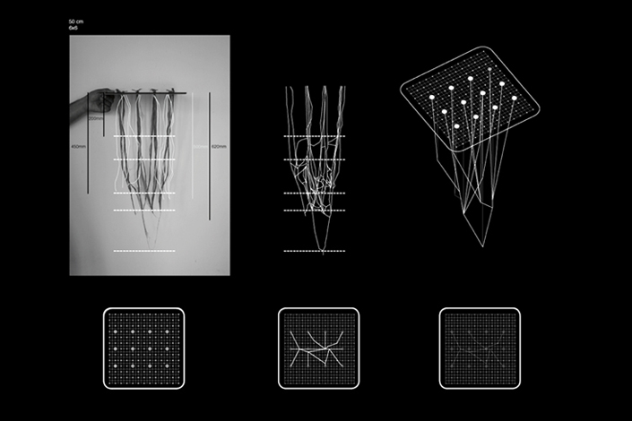 Microbial Ecologies 1.0