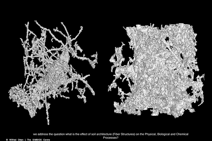 Microbial Ecologies 1.0