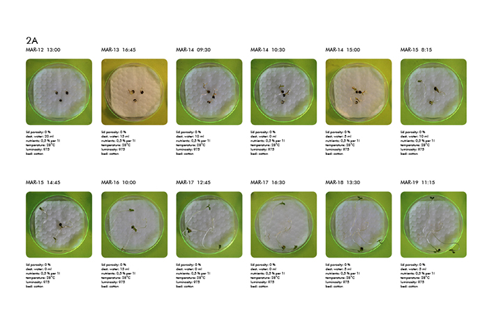 Microbial Ecologies 1.0