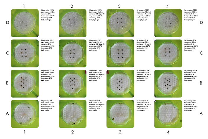Microbial Ecologies 1.0