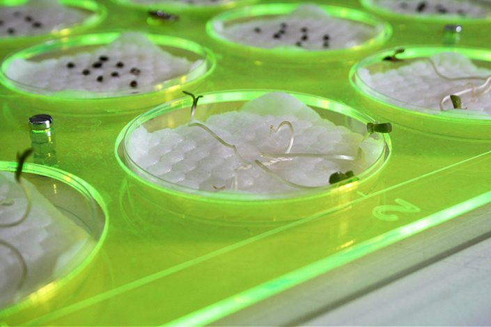 Microbial Ecologies 1.0