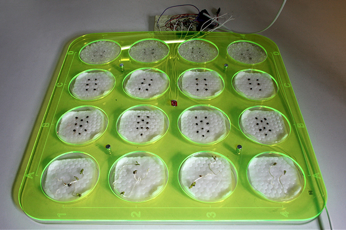 Microbial Ecologies 1.0