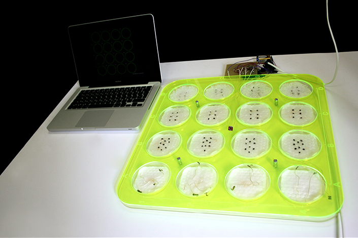 Microbial Ecologies 1.0