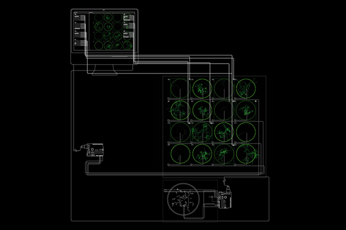 Microbial Ecologies 1.0