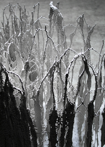 Microbial Ecologies 2.0