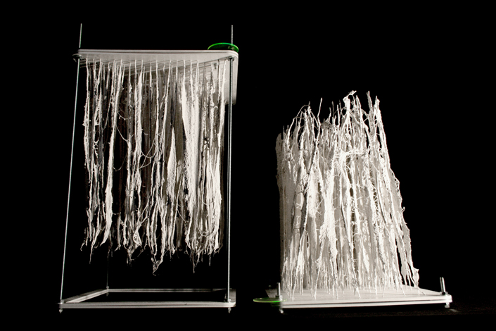 Microbial Ecologies 2.0