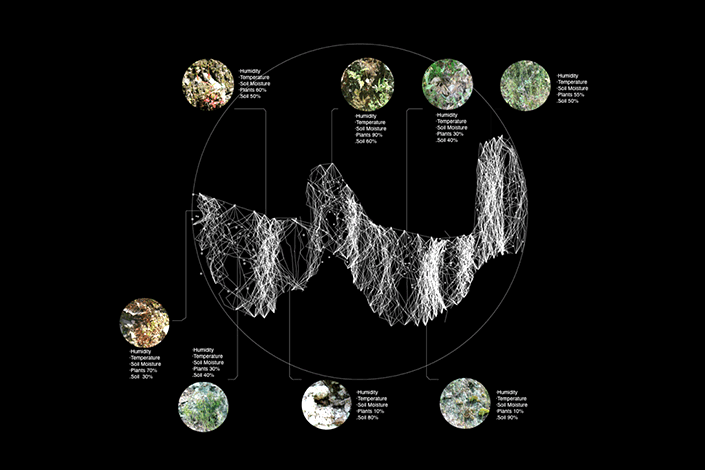 Microbial Ecologies 2.0
