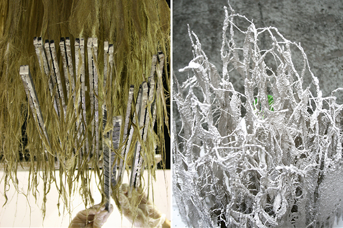Microbial Ecologies 2.0