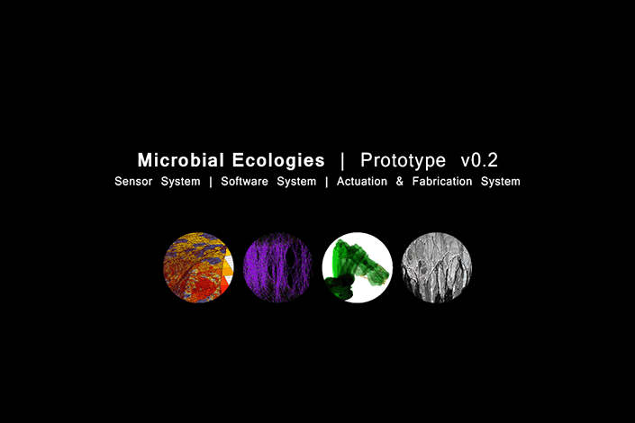 Microbial Ecologies 2.0