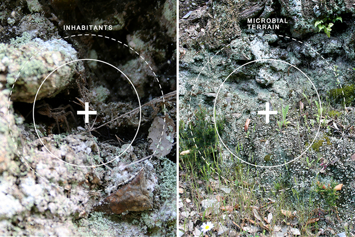 Microbial Ecologies 2.0