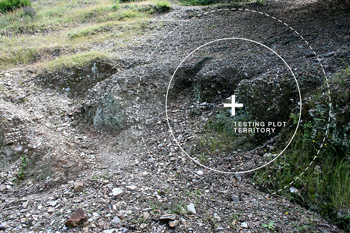 Microbial Ecologies 2.0